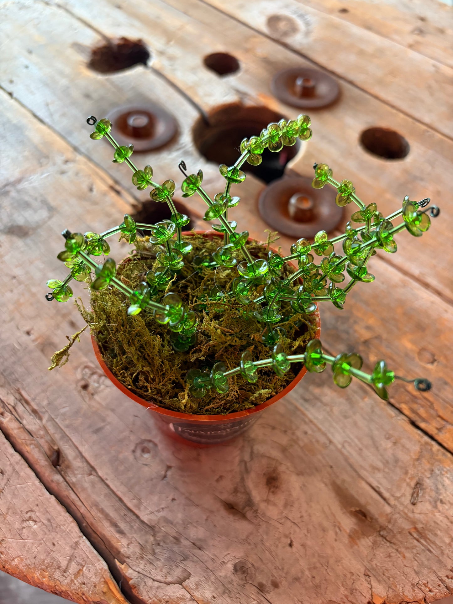 Plantes en perles par Fauxtosynthèse