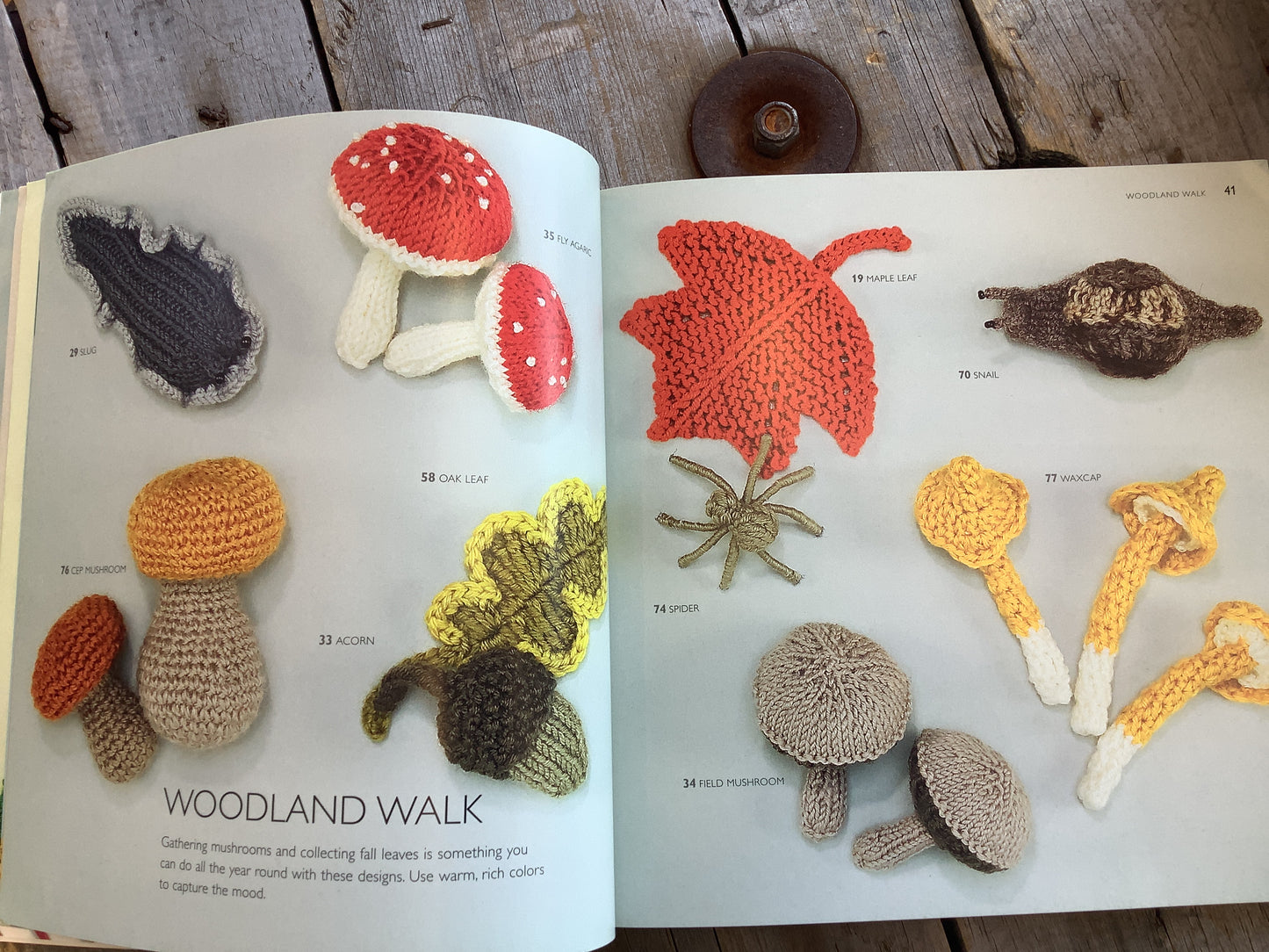 75 birds, butterflies & little beats to knit and crochet - Livre en anglais
