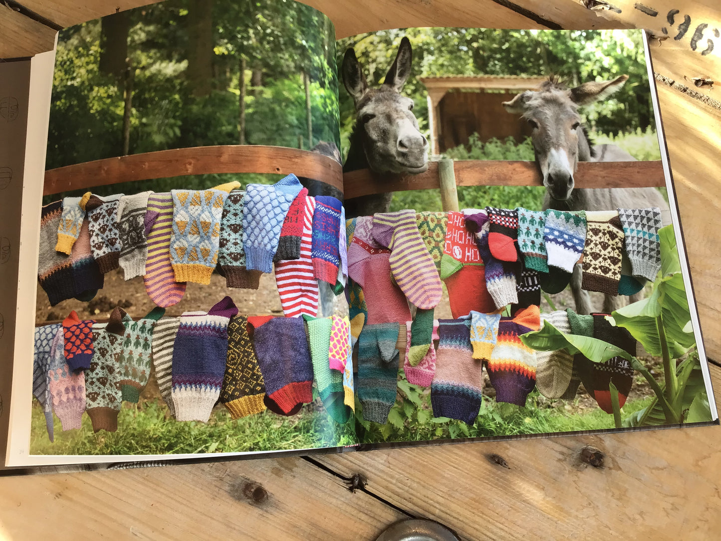 Livre FRANÇAIS - Tricoter des chaussettes, c’est super chouette!