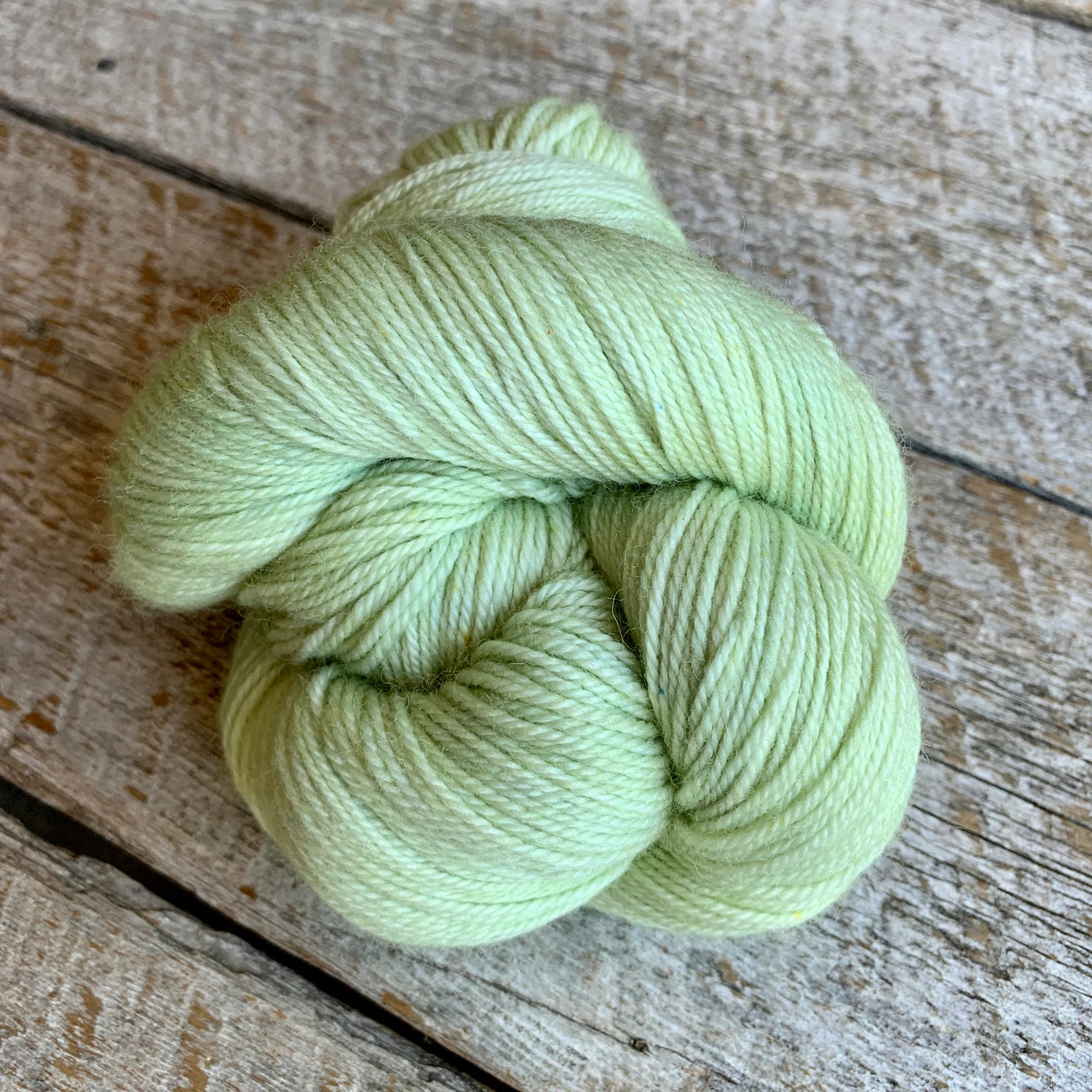 Fibrelya - Bamba Uni