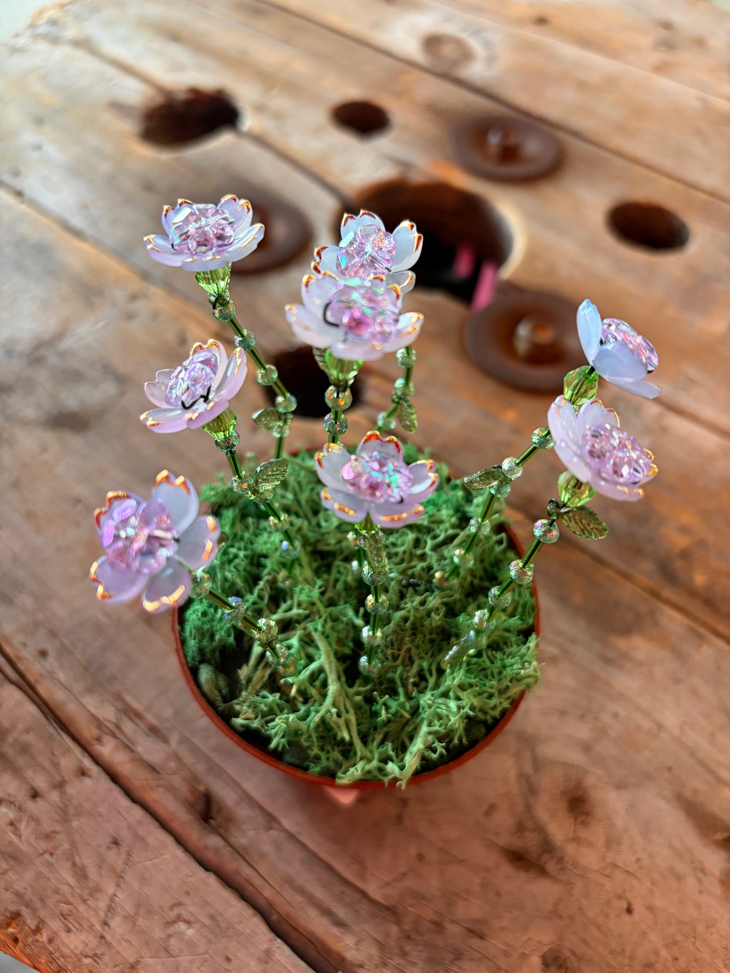 Plantes en perles par Fauxtosynthèse