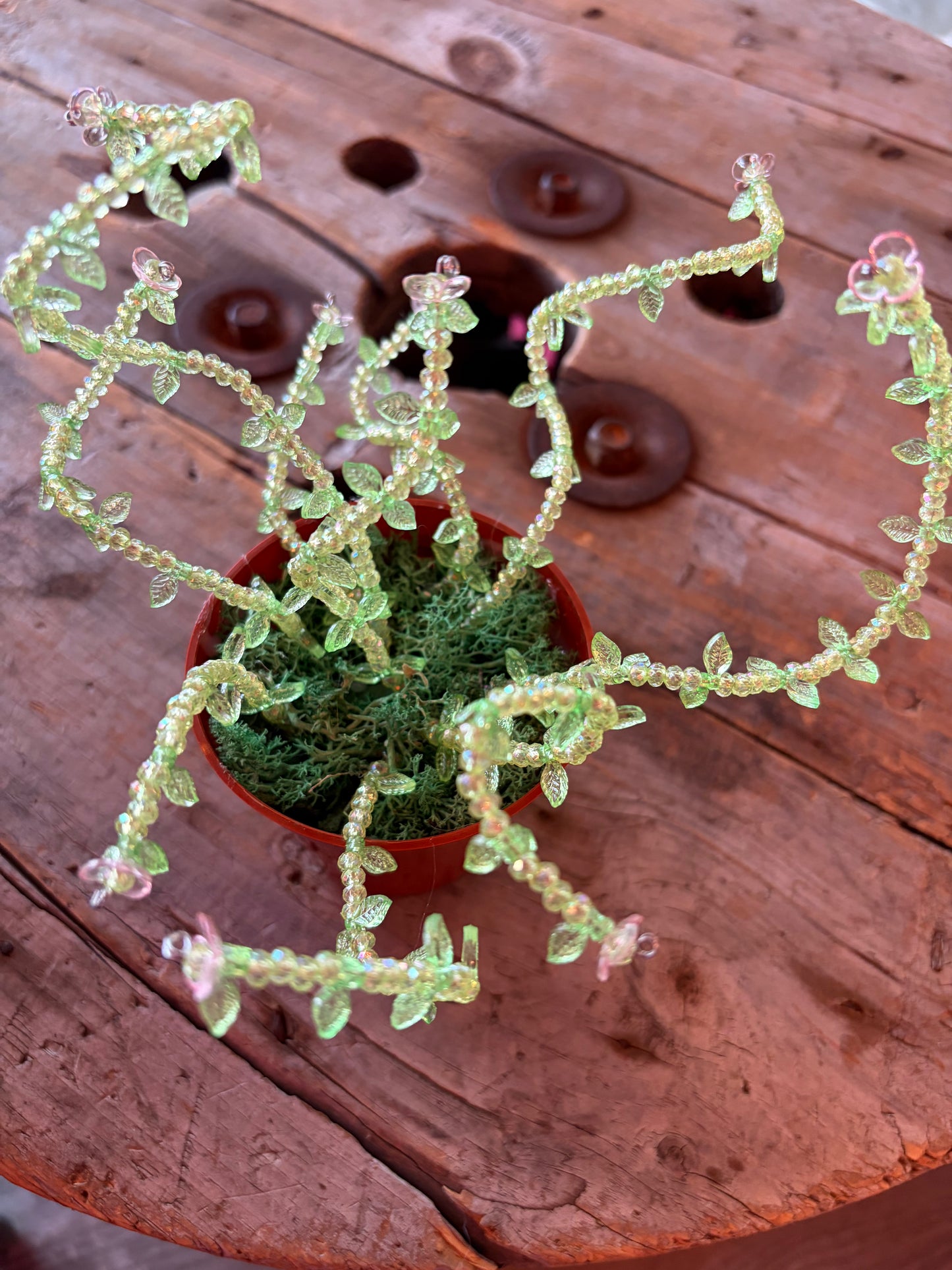 Plantes en perles par Fauxtosynthèse